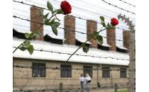 Veranstaltung zum Internationalen Tag der Befreiung der Häftlinge der NS-Konzentrationslager 